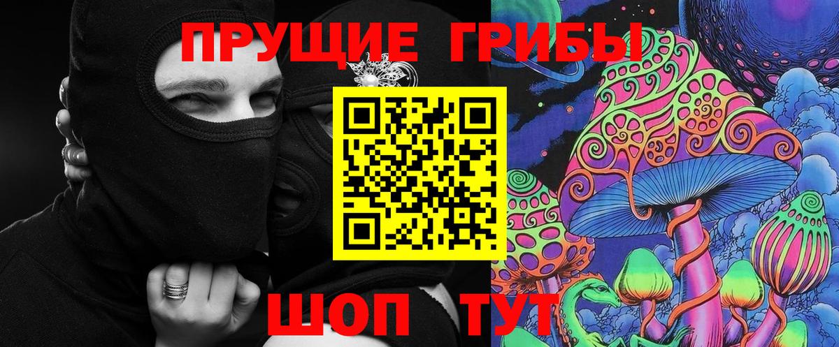 Новосибирск  Псилоцибиновые грибы MAGIC MUSHROOMS  Вход с VPN 